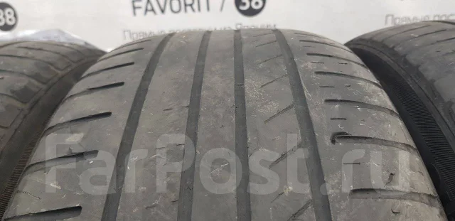 Kinforest. ������, �/�, ����� 50 % ����