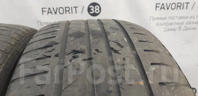 Kinforest. ������, �/�, ����� 50 % ����