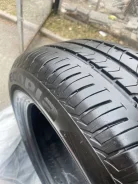 Bridgestone Ecopia. ������, �/�, ����� 5 % ����