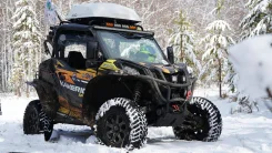 BRP Can-Am Maverick Sport. ��������, ��, �� ����