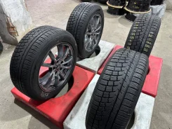 Zeetex WH1000. �����������, 2019 ���, �/�, ����� 5 % ����