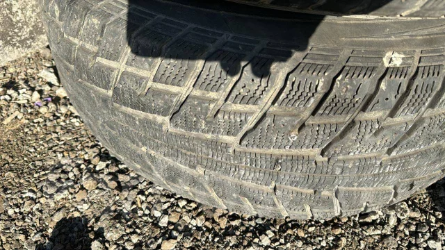 Federal Himalaya WS2-SL. ������, ��� �����, 2020 ���, �/�, ����� 30 % ����