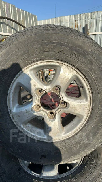 Federal Himalaya WS2-SL. ������, ��� �����, 2020 ���, �/�, ����� 30 % ����