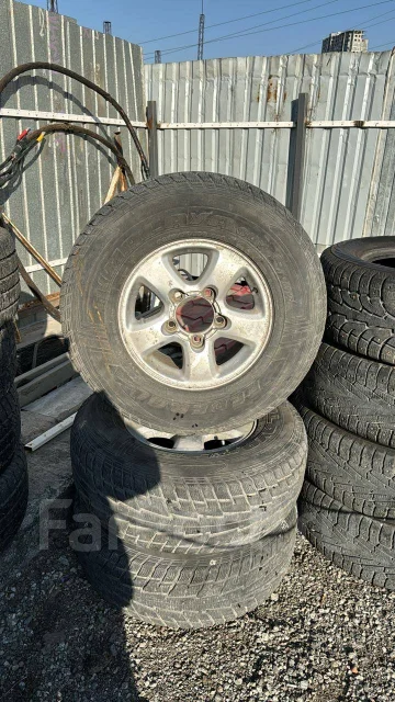 Federal Himalaya WS2-SL. ������, ��� �����, 2020 ���, �/�, ����� 30 % ����