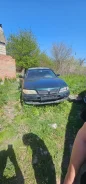 Nissan Maxima ����