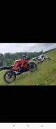 Falcon. 250����. ��., ��������, ���������, ������ �� �� ����