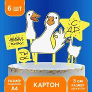 ��������� ��� �����. ����