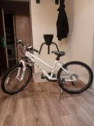 GT ����