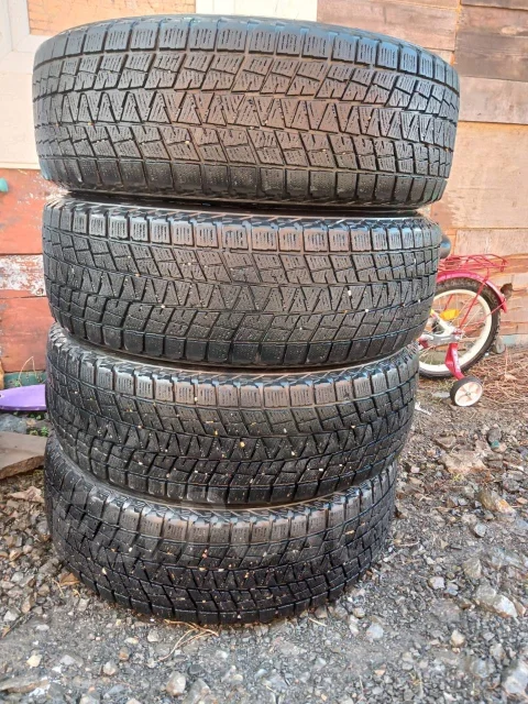 Bridgestone Blizzak DM-V1. ������, ��� �����, �/�, ����� 40 % ����