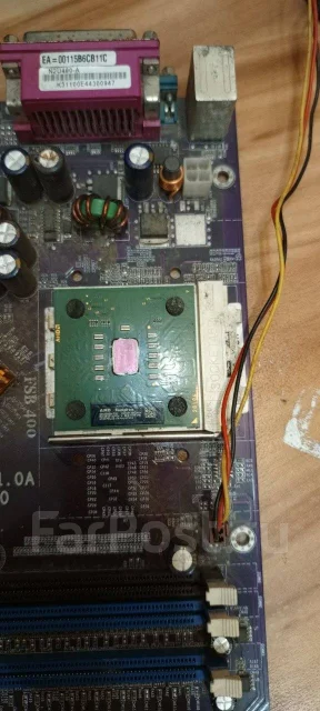 AMD ����