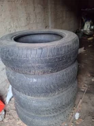 Matador MP-14 Prima. ������, 2018 ���, �/�, ����� 60 % ����