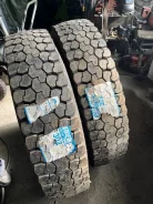 Annaite 302. �����������, �����. �������� ������ ����