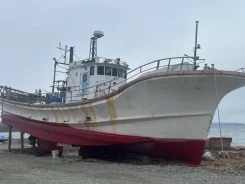 Yanmar. 1990 ���, ����� 20��., ������ ����