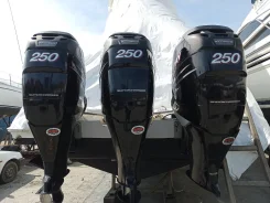 Mercury. 250��.�., 4-�������, ����������, ���� U (762 ��), 2006 ��� ����