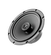 Focal ����