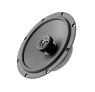 Focal ����