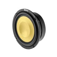 Focal ����