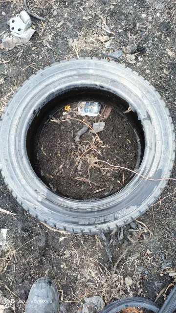 Bridgestone Blizzak MZ-01. ������, ��� �����, 2007 ���, �/�, ����� 5 % ����
