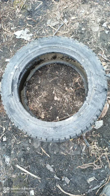 Bridgestone Blizzak MZ-01. ������, ��� �����, 2007 ���, �/�, ����� 5 % ����
