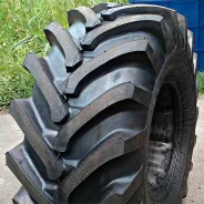 ������� ���-79. �����������, 2023 ���, ����� ����