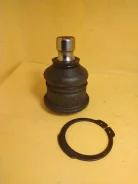����� �������, �������� Optimal G3952 G3952 ����