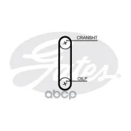 ������ ��� - 53x10mm Audi A3/A4/A5/A6/Q3/Q5 2.0D 13 Gates ���. T351HOB T351HOB ����