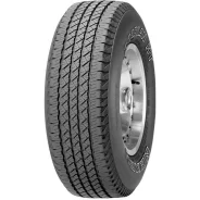 Nexen Roadian HT