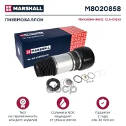 ������������ ������. ����. Marshall M8020858 M8020858 ����