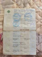 Toyota Opa. ZCT10, 1ZZFE ����