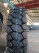 Goodtyre. �����������, 2024 ���, ����� ����
