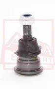 ����� ������� �������� ������ | ����� ����/��� | ASVA 2020001 2020001 ����
