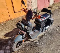Honda Zoomer. ��������, ��� ���, ������ �� �� ����