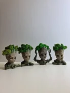 �������� ����� ���� (����������� ���) ����