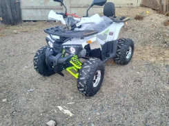 Avantis Hunter Lux New. ��������, ��� ���\���, ��� ������� ����