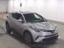 Toyota C-HR. NGX502011491, 8NRFTS ����