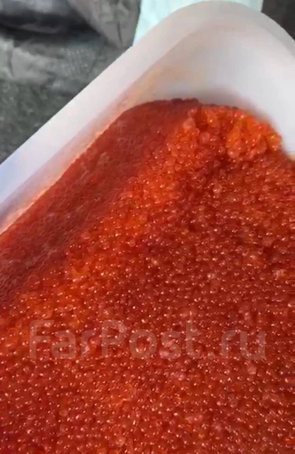 ���� ����. ����