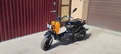 Honda Zoomer. 49����. ��., ��������, ��� ���, ��� ������� ����