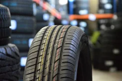Rapid P309. ������, ����� ����