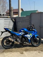 Suzuki GSX 250R. 250����. ��., ��������, ���������, ��� ������� ����