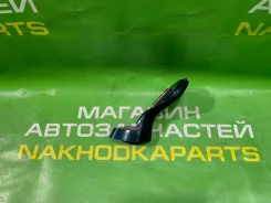 ����� �� �����, ����� ����