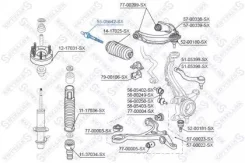 ���� ���. �. +�. Honda Accord all 98 L | ����� | Honda Accord VII 2.0 All-wheel Drive (CL8) 0308/ Honda Accord VII 2.4 (CM2) 0308/ Honda Accord VII 2....
