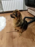 ������. ����