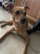 ������. ����