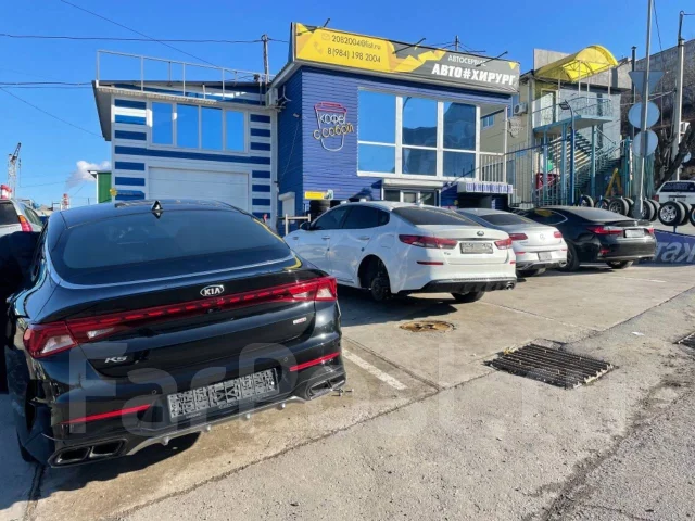 Triangle Effe X Sport TH202. ������, 2026 ���, ����� ����