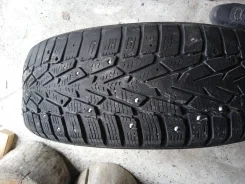 Nordman 7. ������, 2021 ���, �/�, ����� 50 % ����