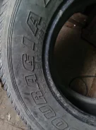 Federal Couragia A/T. ����� at, �/�, ����� 50 % ����