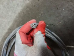 ������ ������ ������ ����