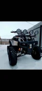 Tiger Sport. ��������, ��� ���\���, ��� ������� ����