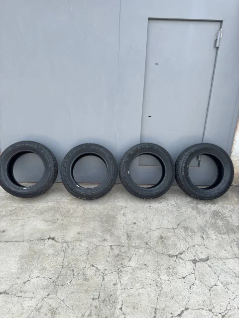 Nereus NS805. ������, ��� �����, 2022 ���, �/�, ����� 5 % ����