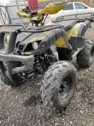 Avantis Hunter 250. ��������, �� ����